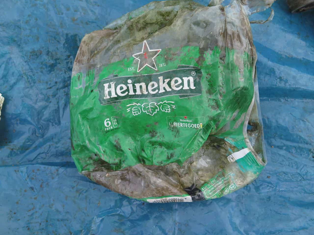 The Big Tengnagel Litter Project